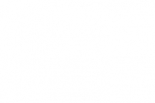 Европейский депутат предупредил о деградации правящего класса на Западе